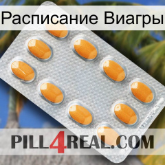 Расписание Виагры cialis3